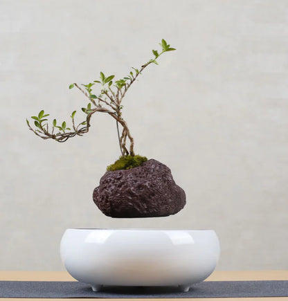 Floating Flower Pot for Home Decor