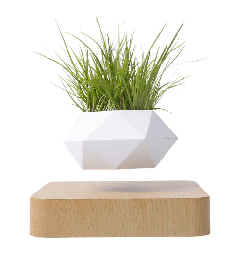 Floating Flower Pot for Home Decor