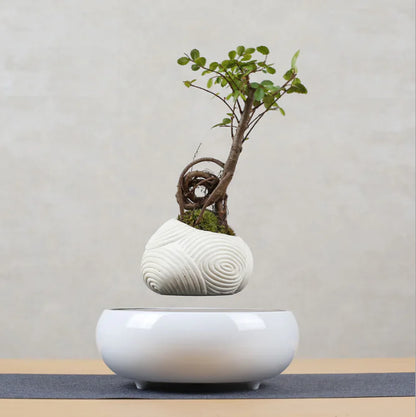 Floating Flower Pot for Home Decor